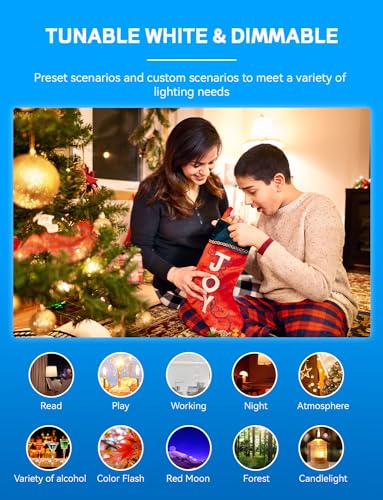 Smart Light Bulbs (4 Count)