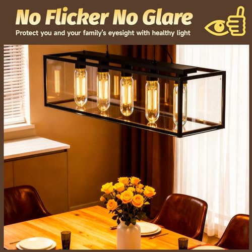 T10 LED Bulb Dimmable Tubular Light Bulb E26 4W Equal 40 Watt Long Edison Light Bulbs 2700K Warm White for Chandelier Industrial Wall Sconces Curio Cabinet Piano Light Desk Lamp 400LM (2 Count)