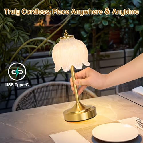 Cordless Table Lamp