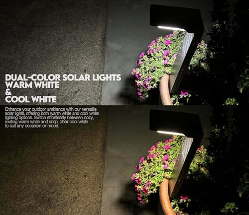 6 Pack Solar Pathway Lights (6 Count)