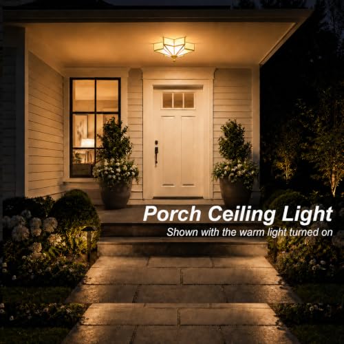 Star Shaped Ceiling Light Fixture