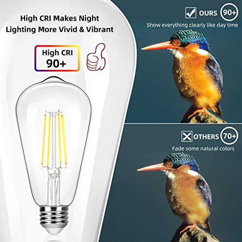 4 Pack Vintage 8W ST64 LED Edison Light Bulbs 100W Equivalent (4 Count)