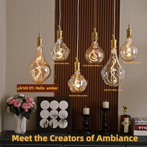 Oversized Irregular Vintage LEDEdison Bulbs Dimmable 2200K 5W Amber E26 1PK