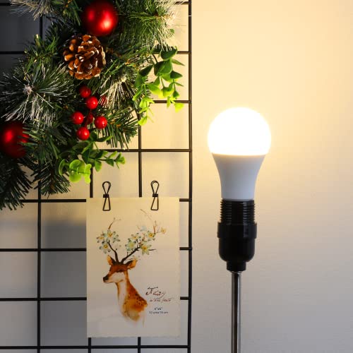A19 LED Light Bulbs (4 Count)