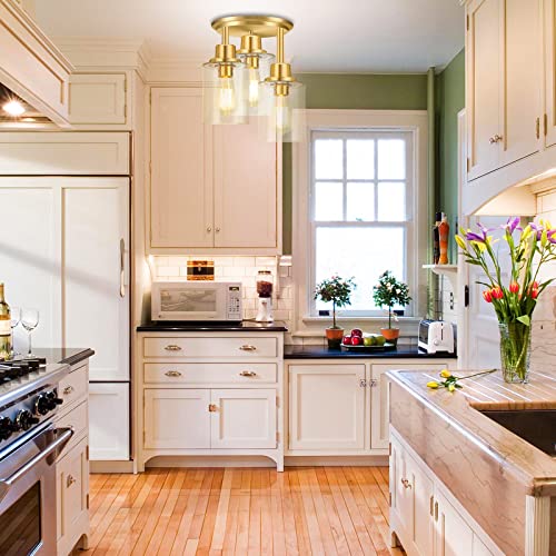 Semi Flush Mount Ceiling Light