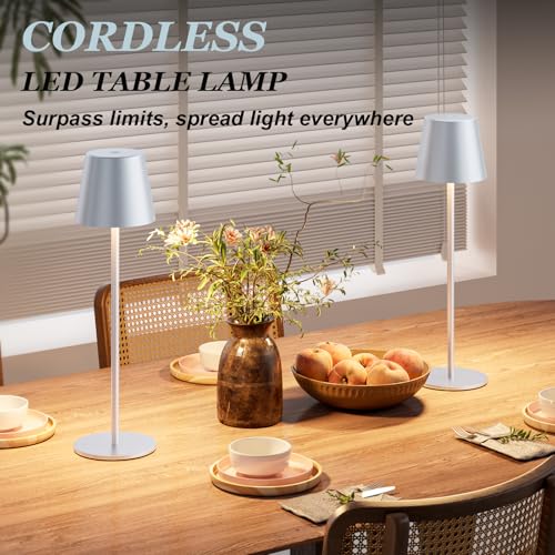 Silver Grey Cordless Lamp Rechargeable (2 Count)