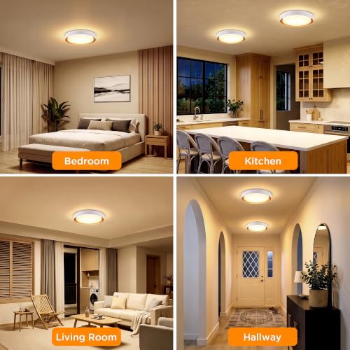 2 Pack Flush Mount Ceiling Light (Matte White)