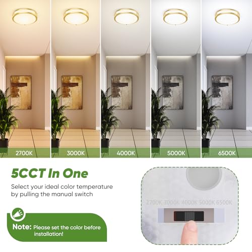 10 Inch LED Flush Mount Ceiling Lights (2 Count)