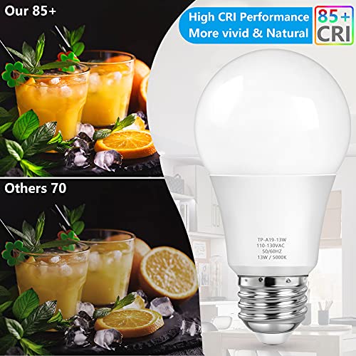 A19 LED Light Bulbs (4 Count)