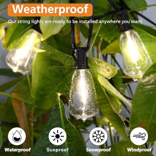3 Color in 1 LED Outdoor String Lights with Remote