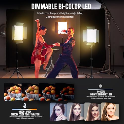 2 Pack Photography Lighting Kit (2 Count)