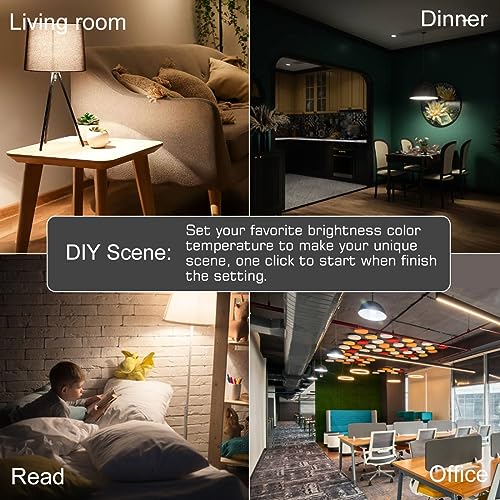Alexa Light Bulb 1300LM (12 Count)