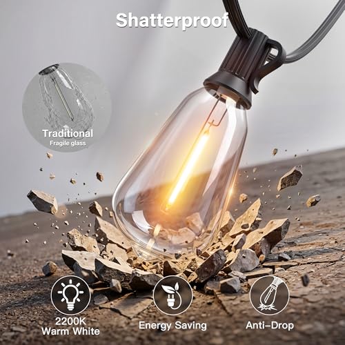 Outdoor String Lights 66FT (66 Foot)