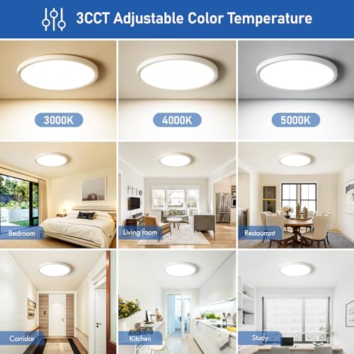 12 Inch Hardwired Dimmable LED Flush Mount Ceiling Light Fixtures