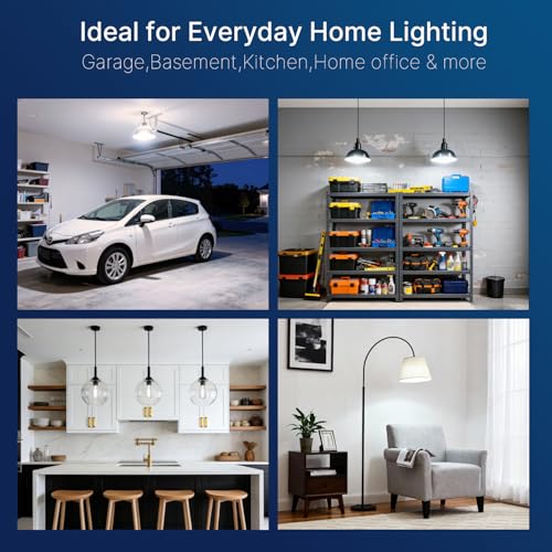 100W Equivalent LED Edison Bulbs (4 Count)