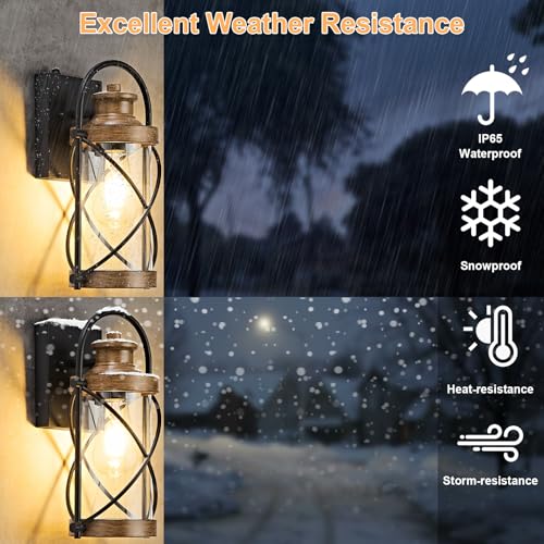 Dusk to Dawn Outdoor Wall Lights Fixtures (2 Count)