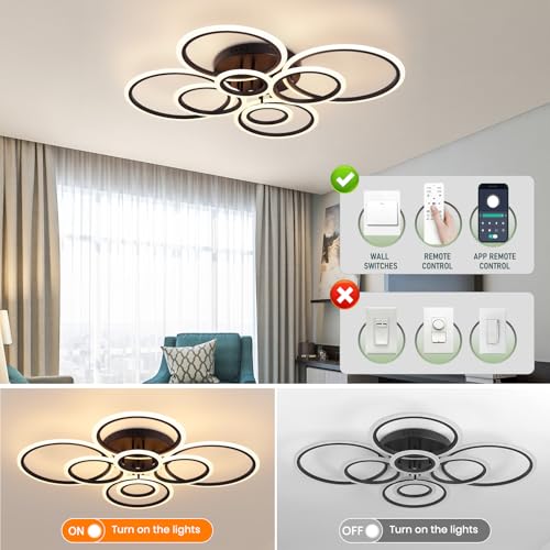 Modern Ceiling Light Fixture