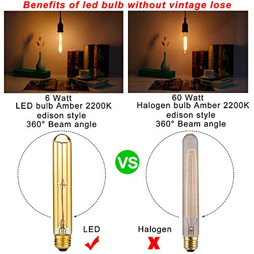 E26 T10 Edison Bulbs (6 Count)
