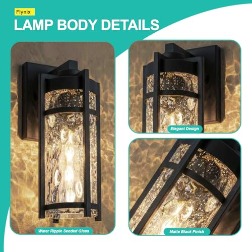 Outdoor Wall Light Fixtures (2 Count)