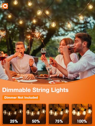100FT Outdoor String Lights 54 G40 LED Bulbs Dimmable Waterproof (100 Foot)