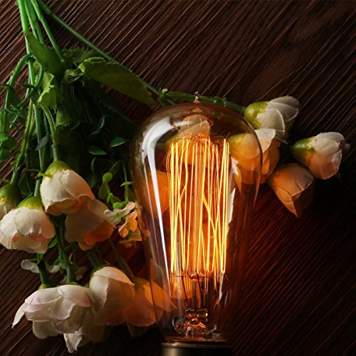 Vintage Edison Light Bulbs (2 Count)