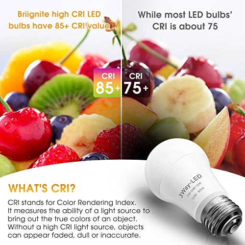 LED Light Bulbs (2 Count)