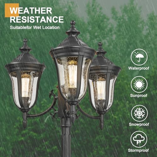 Lamp Post Lights 3