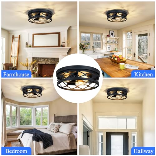 Flush Mount Ceiling Light Fixture