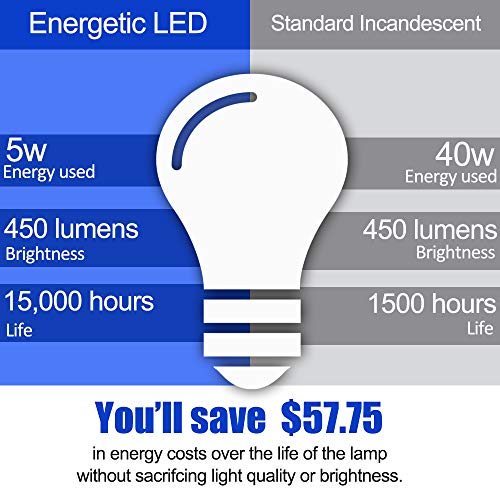 Energetic 24 Pack A19 LED Light Bulb (24 Count)
