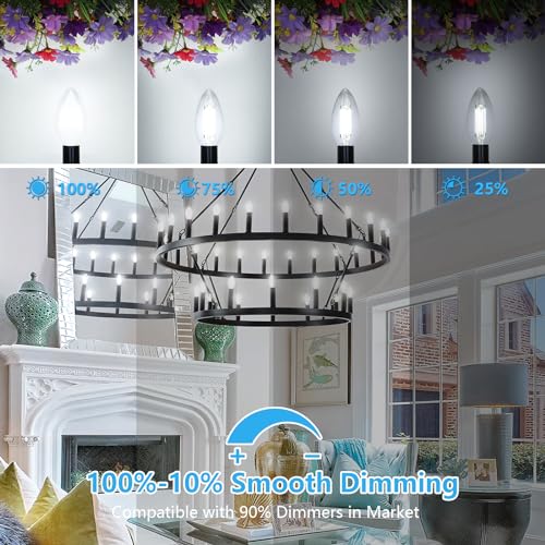 Dimmable E12 LED Candelabra Bulbs 60W Equivalent (24 Count)
