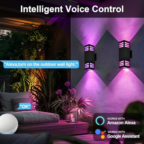 Smart Outdoor Wall Sconce