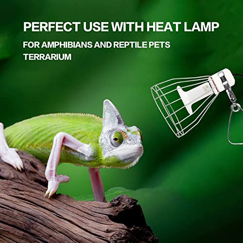 Sturdy Steel Cage Clamp Lamp