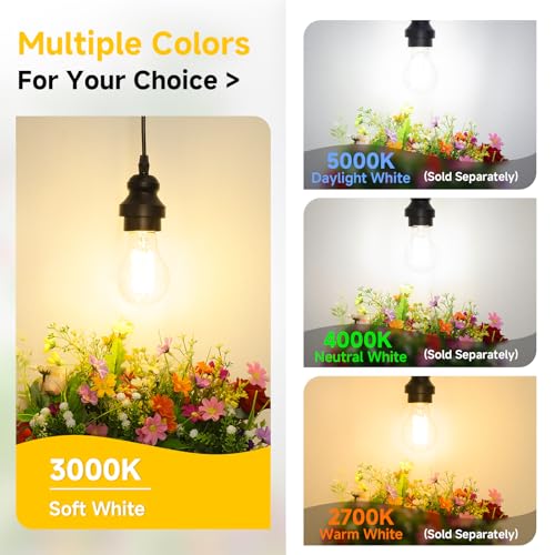 A19 Vintage LED Edison Bulbs Dimmable 60W Equivalent High Brightness (4 Count)