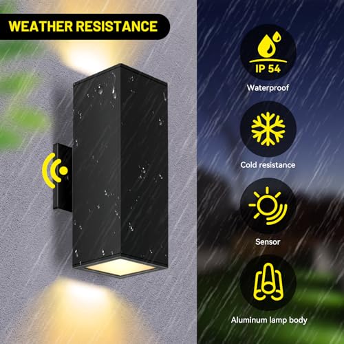 2 Pack Exterior Wall Light Fixtures (2 Count)