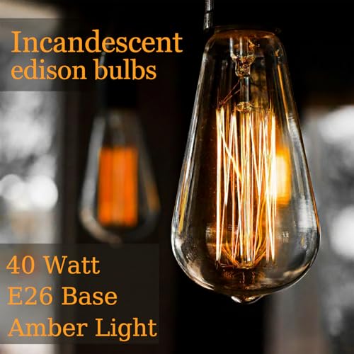 E26 40W Edison Bulbs (4 Count)