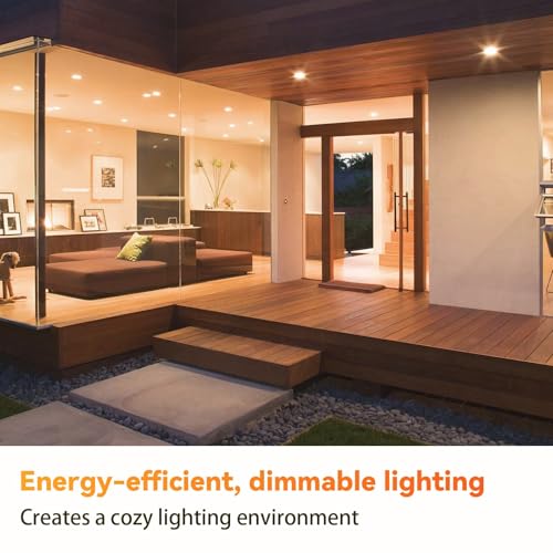 12 Pack BR30 Flood Light Bulb Indoor (12 Count)