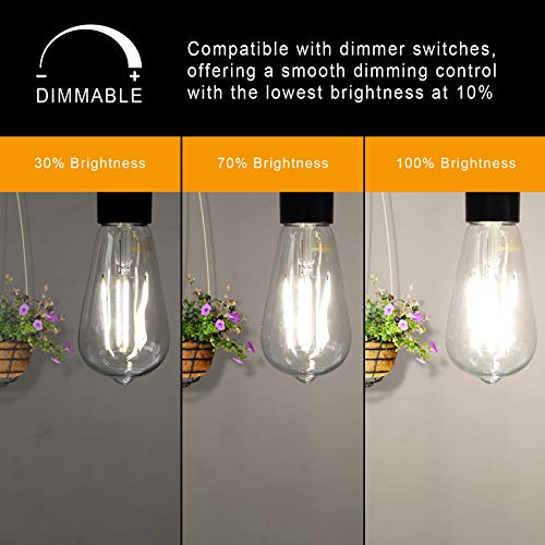 Dimmable Vintage LED Edison Bulbs (6 Count)