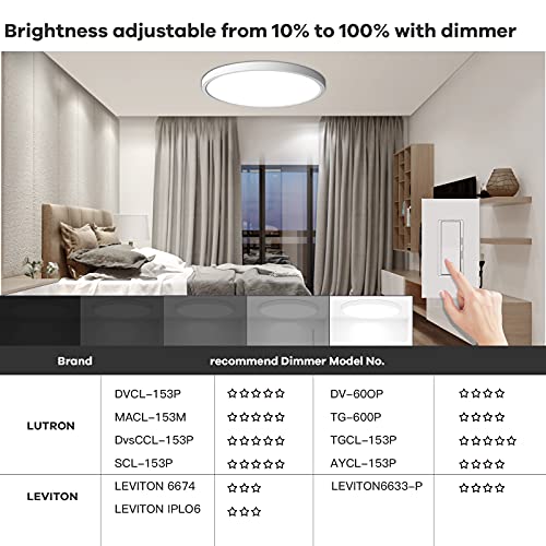 Dimmable Flush Mount Ceiling Light