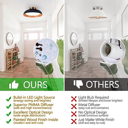 Flush Mount Ceiling Light