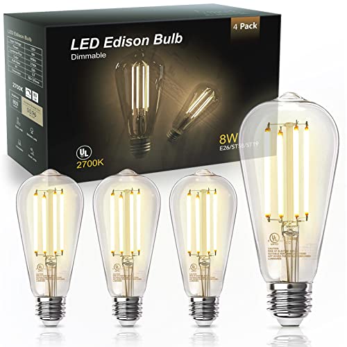 4 Pack Edison LED Light Bulbs (4 Count)