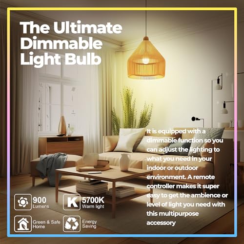 Dimmable E26 Warm LED Light Bulb (2 Count)