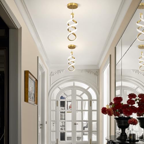Modern LED Pendant Light Fixture