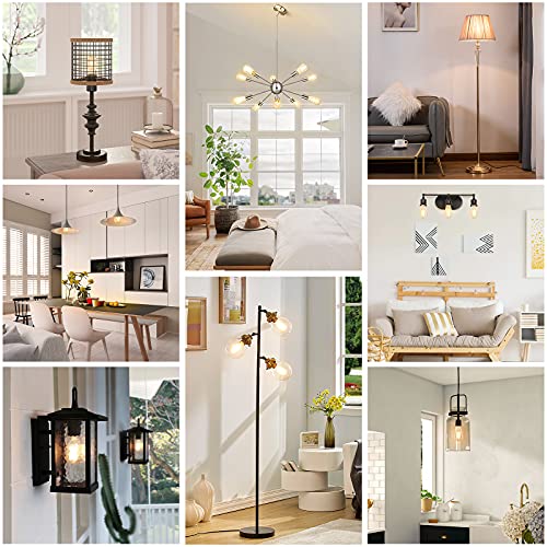 Dimmable Vintage LED Edison Bulbs 60W Equivalent 6W 850 Lumens (12 Count)