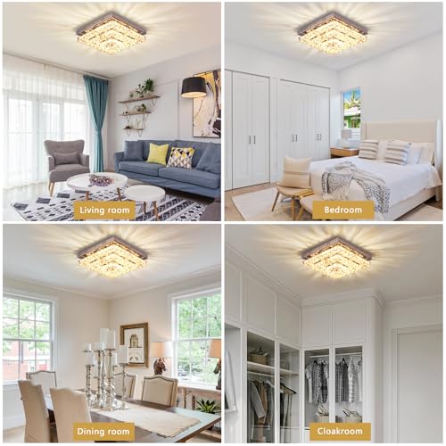 11.8" Crystal Ceiling Light