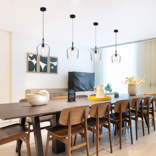 Glass Pendant Light Modern Black 1 Light Single Dome Pendant Lighting Fixtures for Kitchen Island Dining Room Hallway
