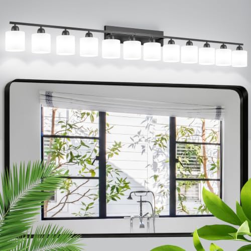 12 Light Black Vanity Lights for Giant Mirror
