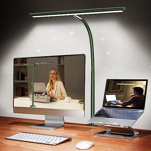 LED Desk Lamp with Clamp