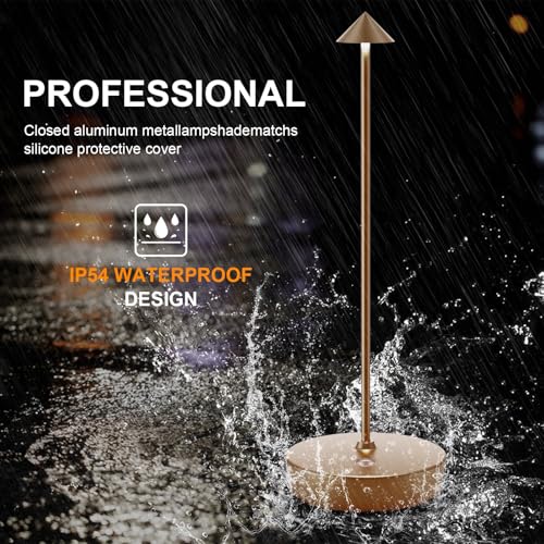 LED Cordless Rechargeable Table Lamps (2 Count)