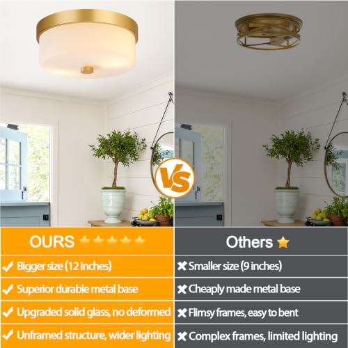 Flush Mount Ceiling Light Fixtures