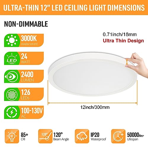 2 Pack 12" LED Flush Mount Ceiling Light 3000K (2 Count)